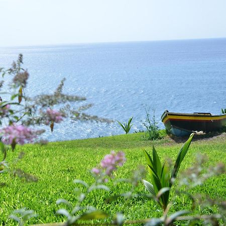 Quinta Golfinho Daire Arco da Calheta  Dış mekan fotoğraf