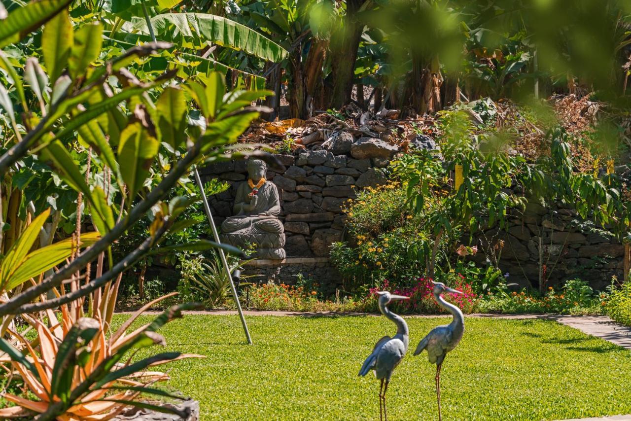 Quinta Golfinho Daire Arco da Calheta  Dış mekan fotoğraf