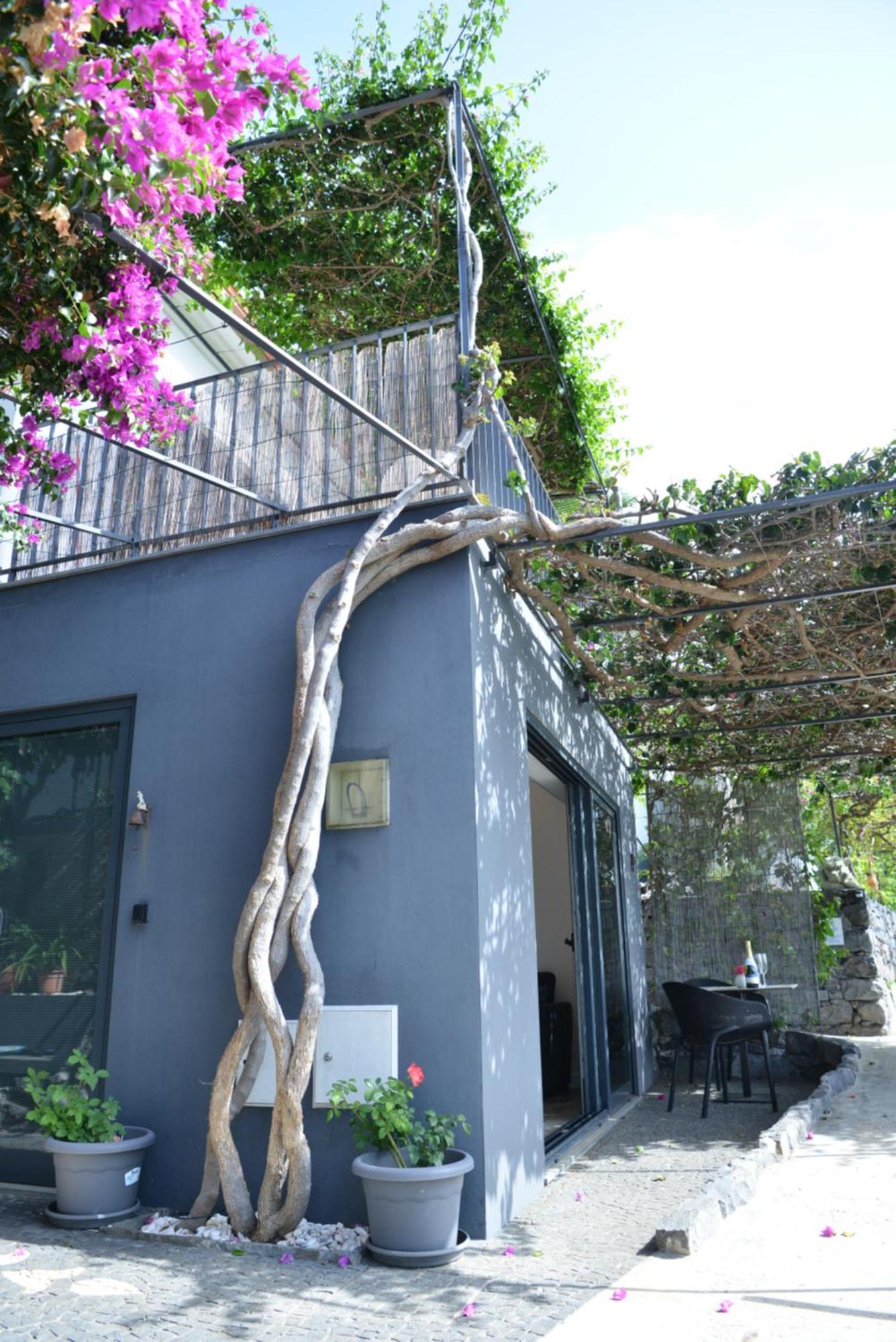 Quinta Golfinho Daire Arco da Calheta  Dış mekan fotoğraf