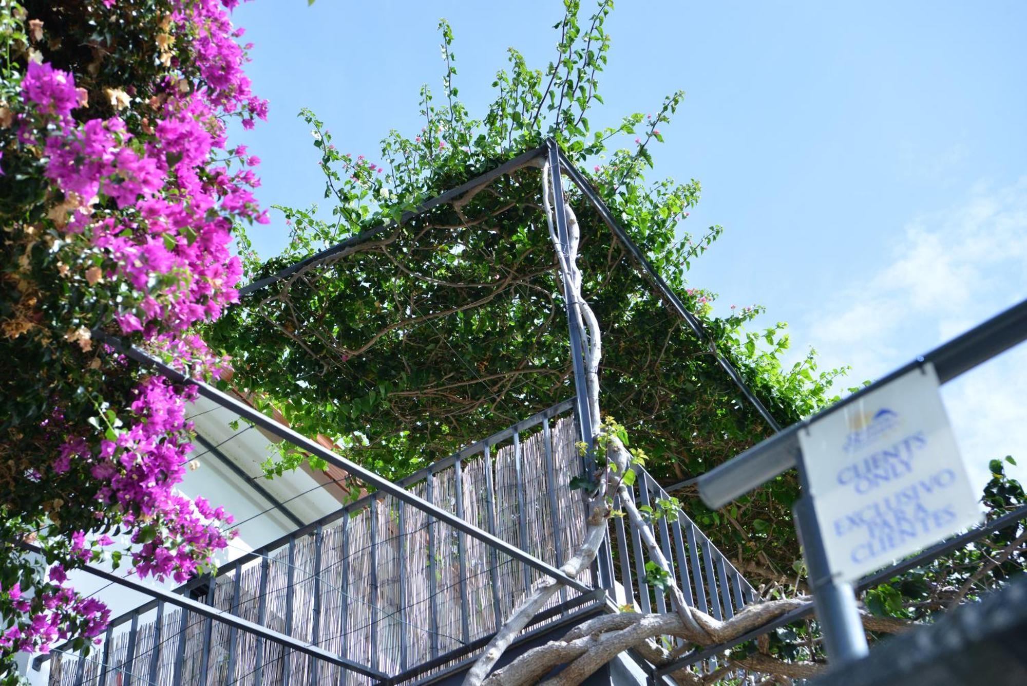 Quinta Golfinho Daire Arco da Calheta  Dış mekan fotoğraf