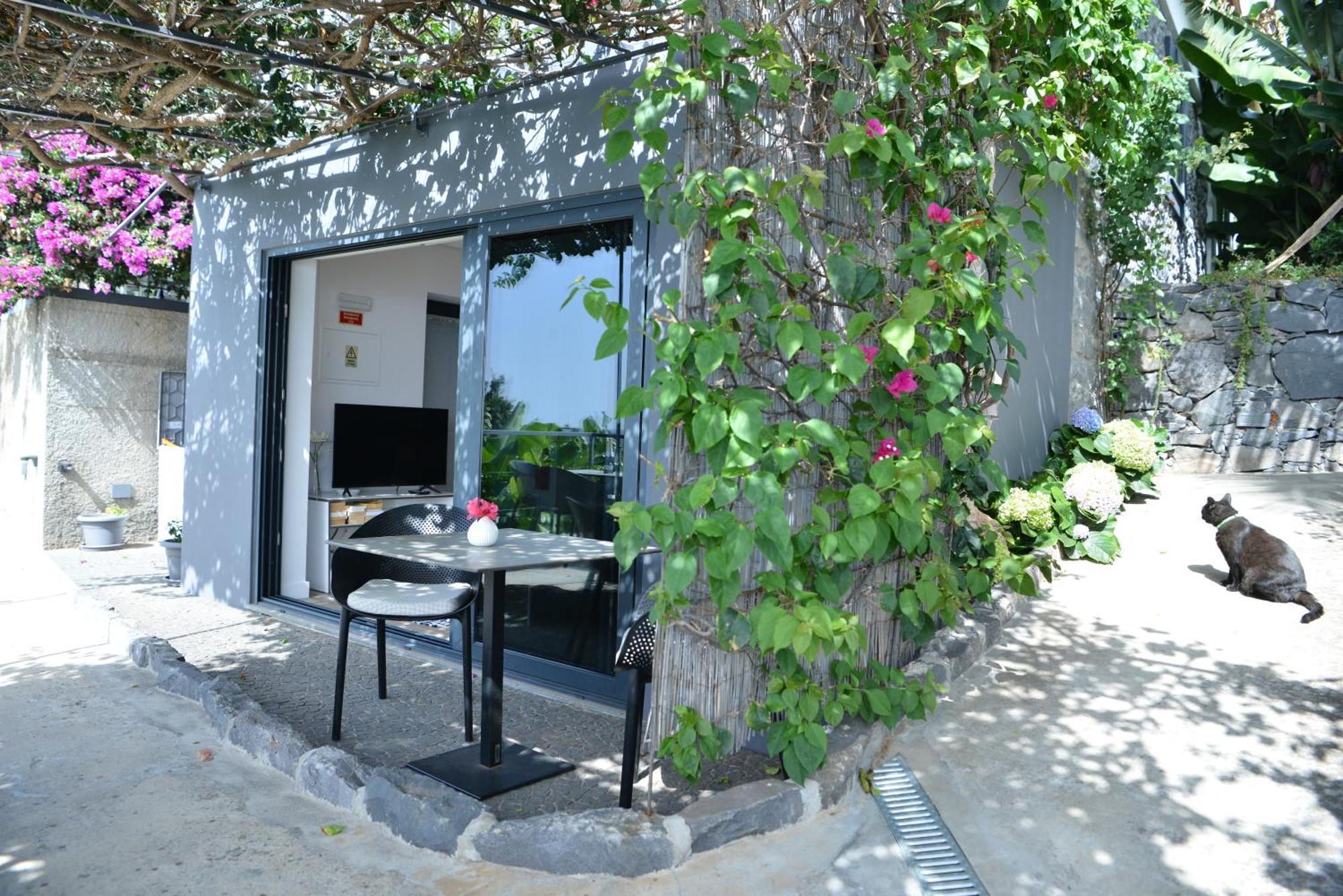 Quinta Golfinho Daire Arco da Calheta  Dış mekan fotoğraf