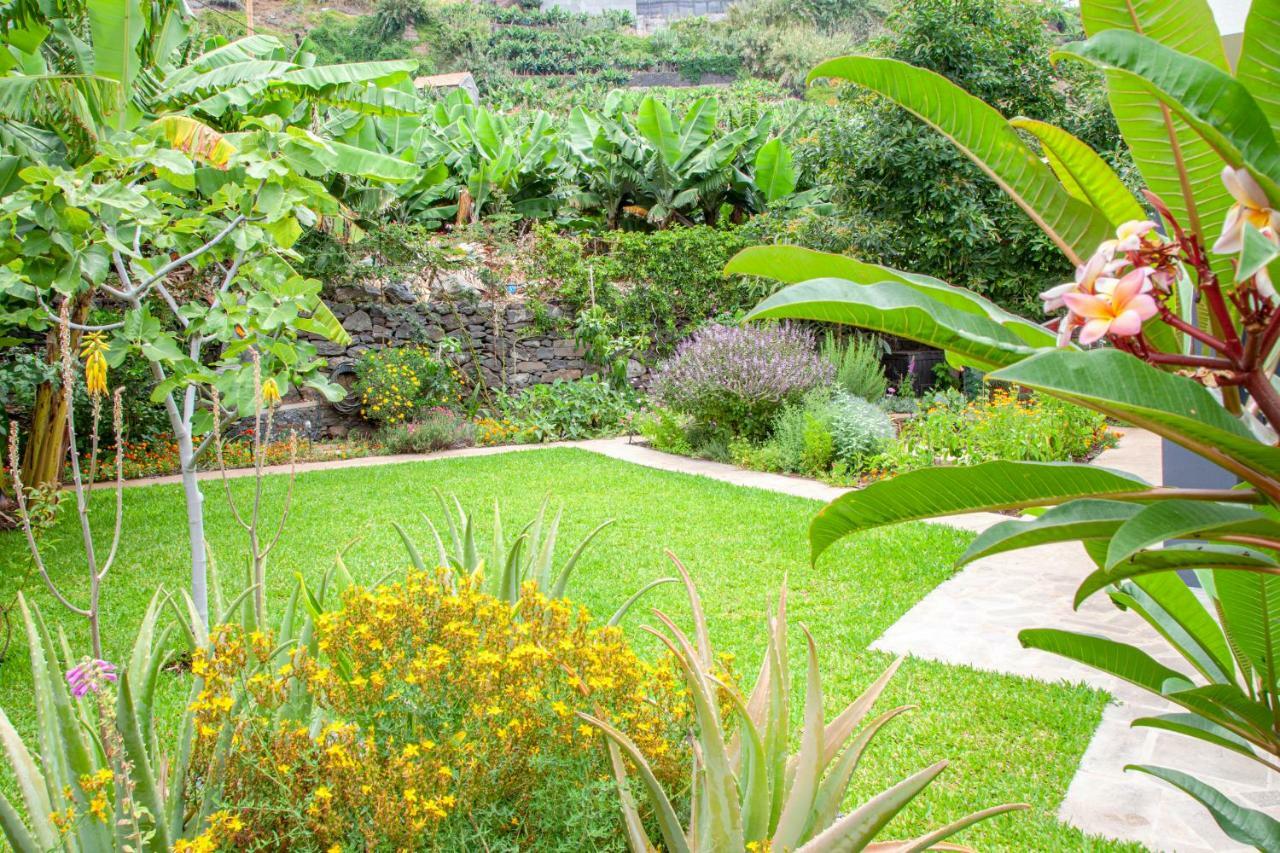 Quinta Golfinho Daire Arco da Calheta  Dış mekan fotoğraf