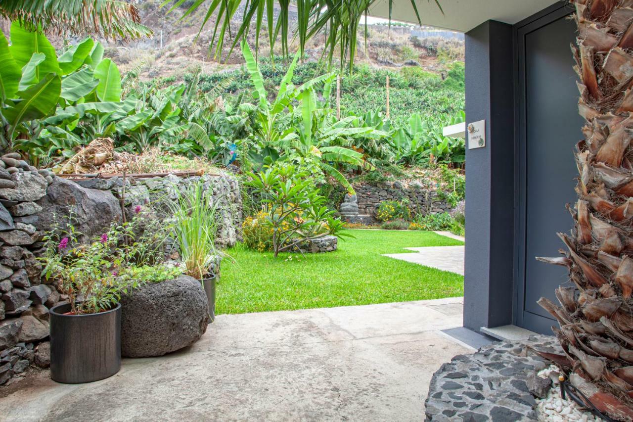 Quinta Golfinho Daire Arco da Calheta  Dış mekan fotoğraf