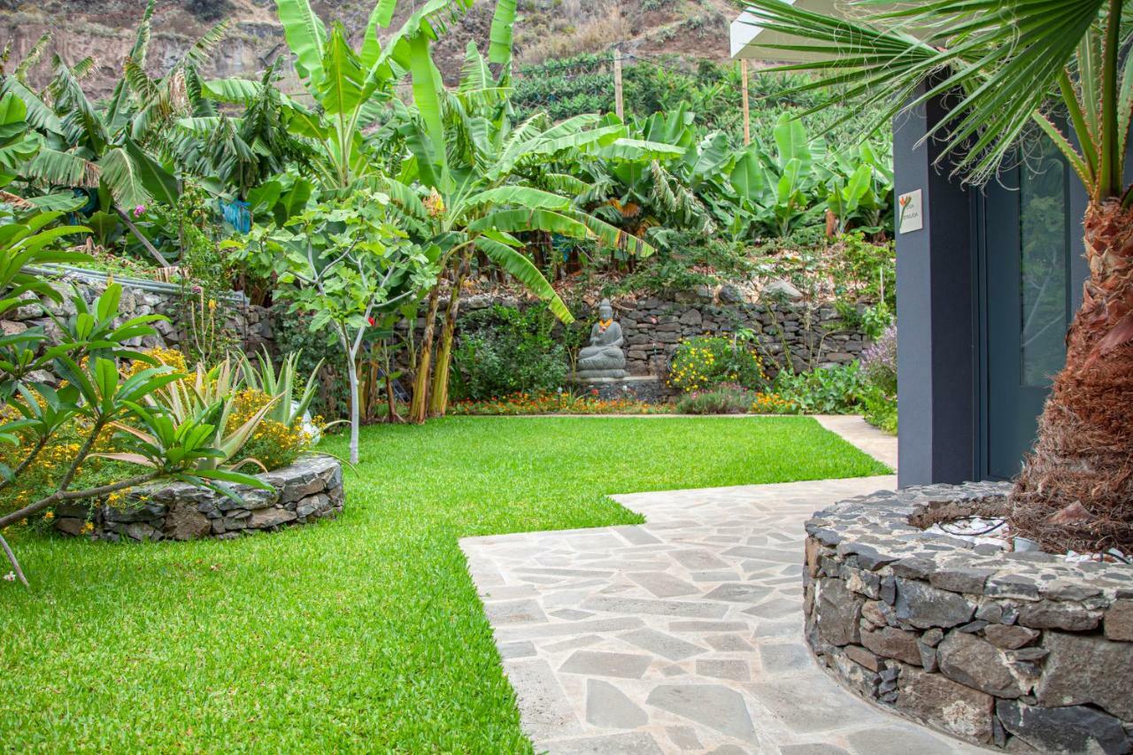 Quinta Golfinho Daire Arco da Calheta  Dış mekan fotoğraf