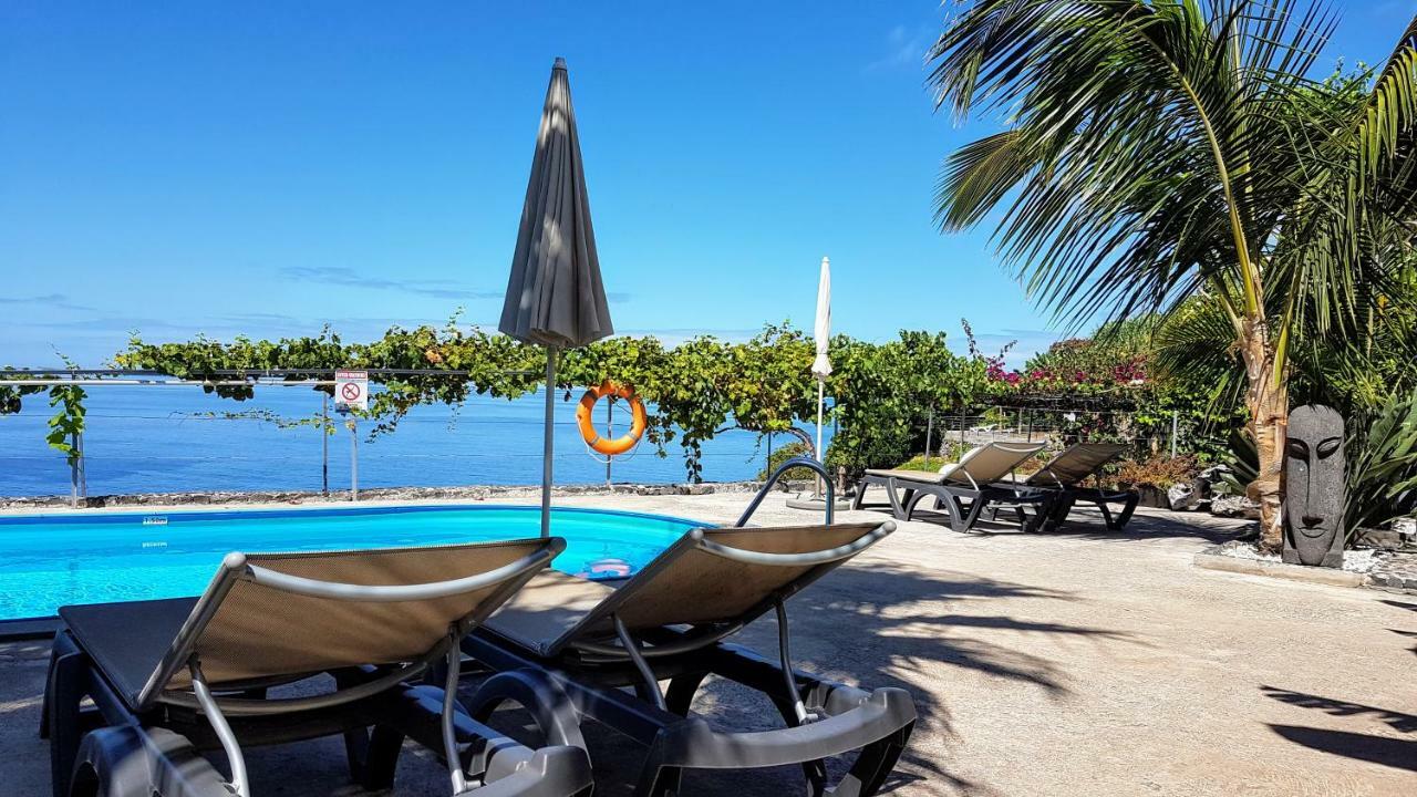 Quinta Golfinho Daire Arco da Calheta  Dış mekan fotoğraf